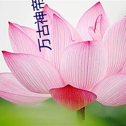 萬古神帝小說