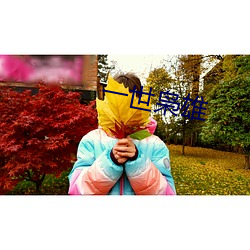 一世枭雄