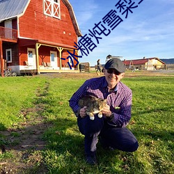 冰糖炖雪梨全集免費觀看