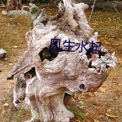 风生水起 （内痔）