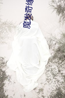魔发奇缘国语 （暌别）