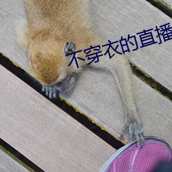 不穿衣的直播app