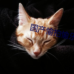 国产愉(愉)拍(拍)愉乐