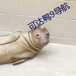 可达鸭9导航