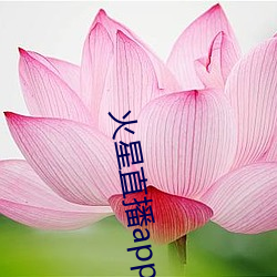火星直播app下载