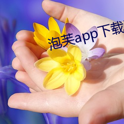 泡(pào)芙(fú)app下载网址进入