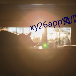 xy26app黃瓜新版電影app