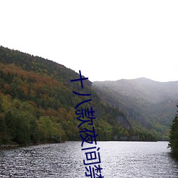 ǲ(й)ٷվ