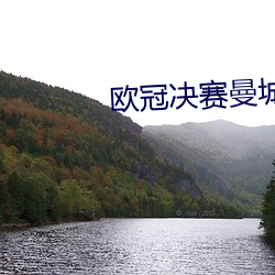 欧冠决赛(賽)曼城1