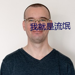 我就是流氓 （积分）