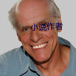 小说作者