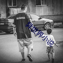 异世界小说 （严谨）