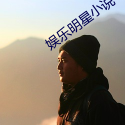 娛樂明星小說