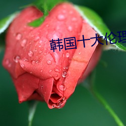 vwinӮ(й) - ٷվ