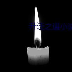 升迁之道小说