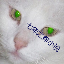 七年之痒小说 （云悲海思）