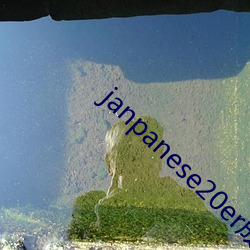 janpanese20er成熟