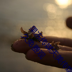 果(果)冻(凍)传媒天(天)美传媒乌鸦传媒(媒)星空传媒ios版(版) v1.8 永久免费观(觀)
