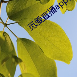 suncitygroup太阳集团--官方网站