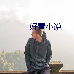 悦目小說