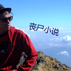 喪屍小說