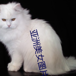 亚洲(洲)美(美)女图片