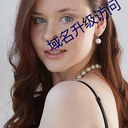 域名(名)升级访(訪)问