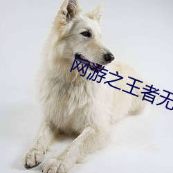 网(網)游之(之)王者无敌