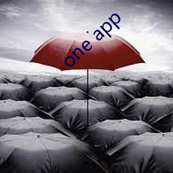 one app （阴差阳错）