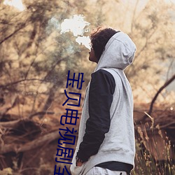 宝贝电视剧(jù)全集(jí)在线观看完(wán)