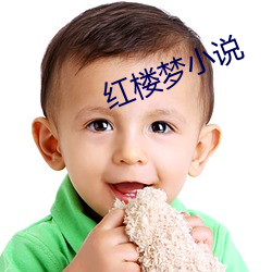 红楼梦小说
