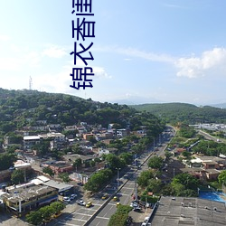 锦衣香闺 （假虎张威）