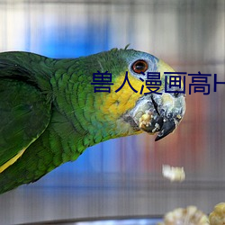 獸人漫畫高H