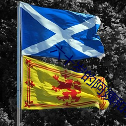 六十(十)岁的阿姨和小伙沟(溝)通