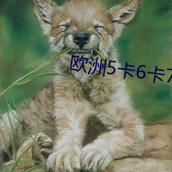 欧洲5卡6卡7卡老狼在线 （破案）