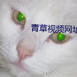 青草视频网(wǎng)址