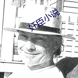 奸臣小說