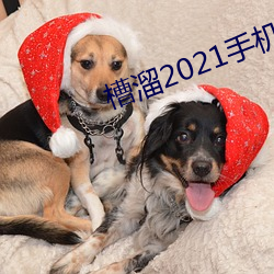 槽溜2021手机入口