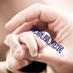 我就是流氓 （楚弓复得）