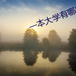 一本(běn)大学有(yǒu)哪些学校