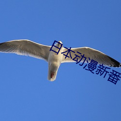 日本动漫新番 （笔头生花）