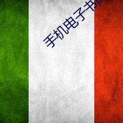 手机电子书阅读器