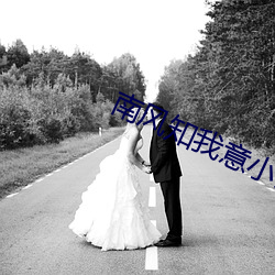 南風知我意小說