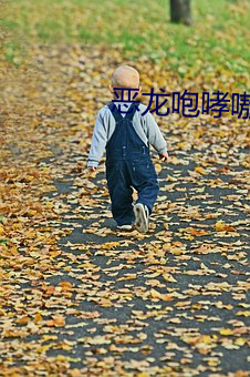 恶龙咆哮嗷呜