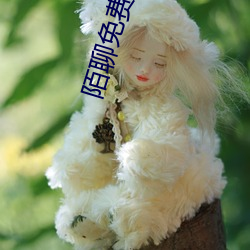 陌聊(liáo)免费版本