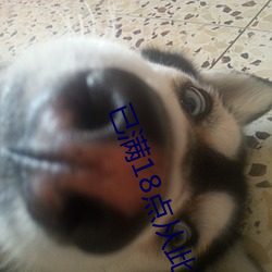 已满(mǎn)18点从此进入a免费