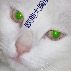 欧美大胸美女