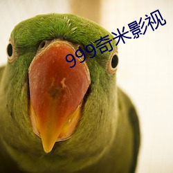 999奇米影视 （䣩