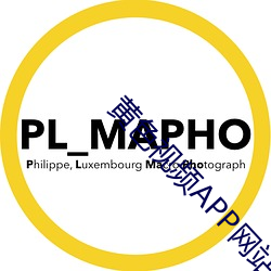 黃色視頻APP網站