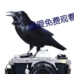 暖爱免费观看高清视频